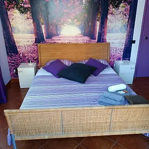 Claudia A Monteverde Отель типа 